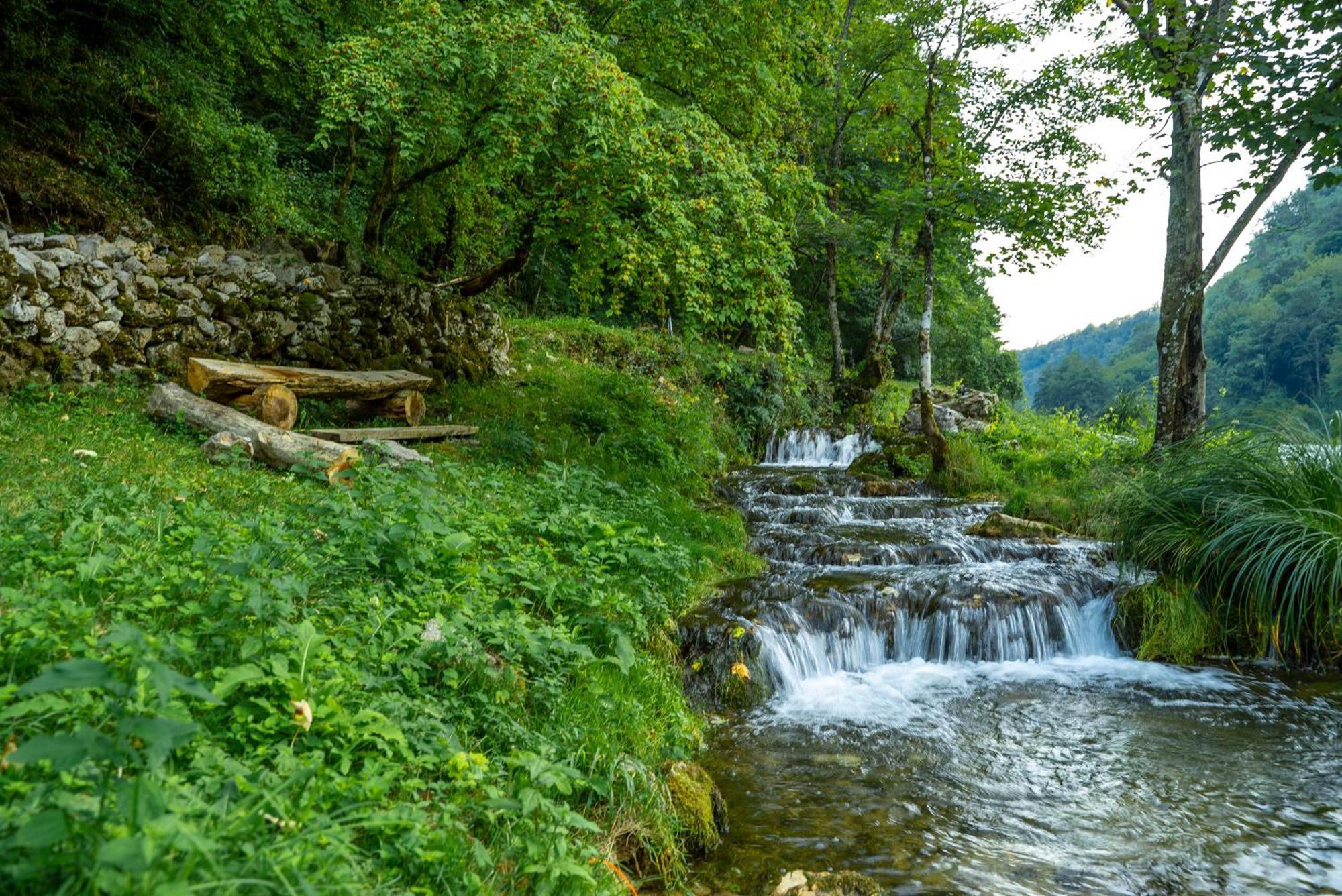 Apartament Tree Elements Treehouse Retreat Slunj Zewnętrze zdjęcie