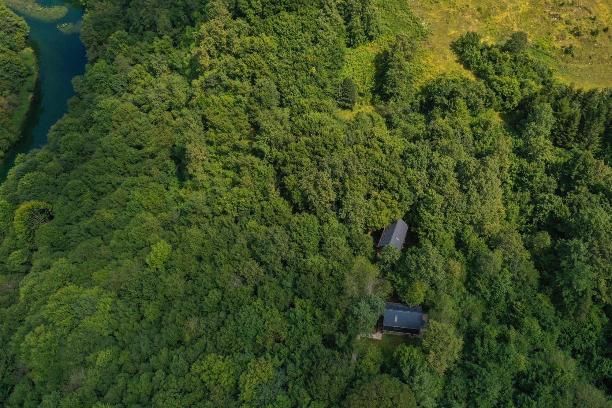 Apartament Tree Elements Treehouse Retreat Slunj Zewnętrze zdjęcie