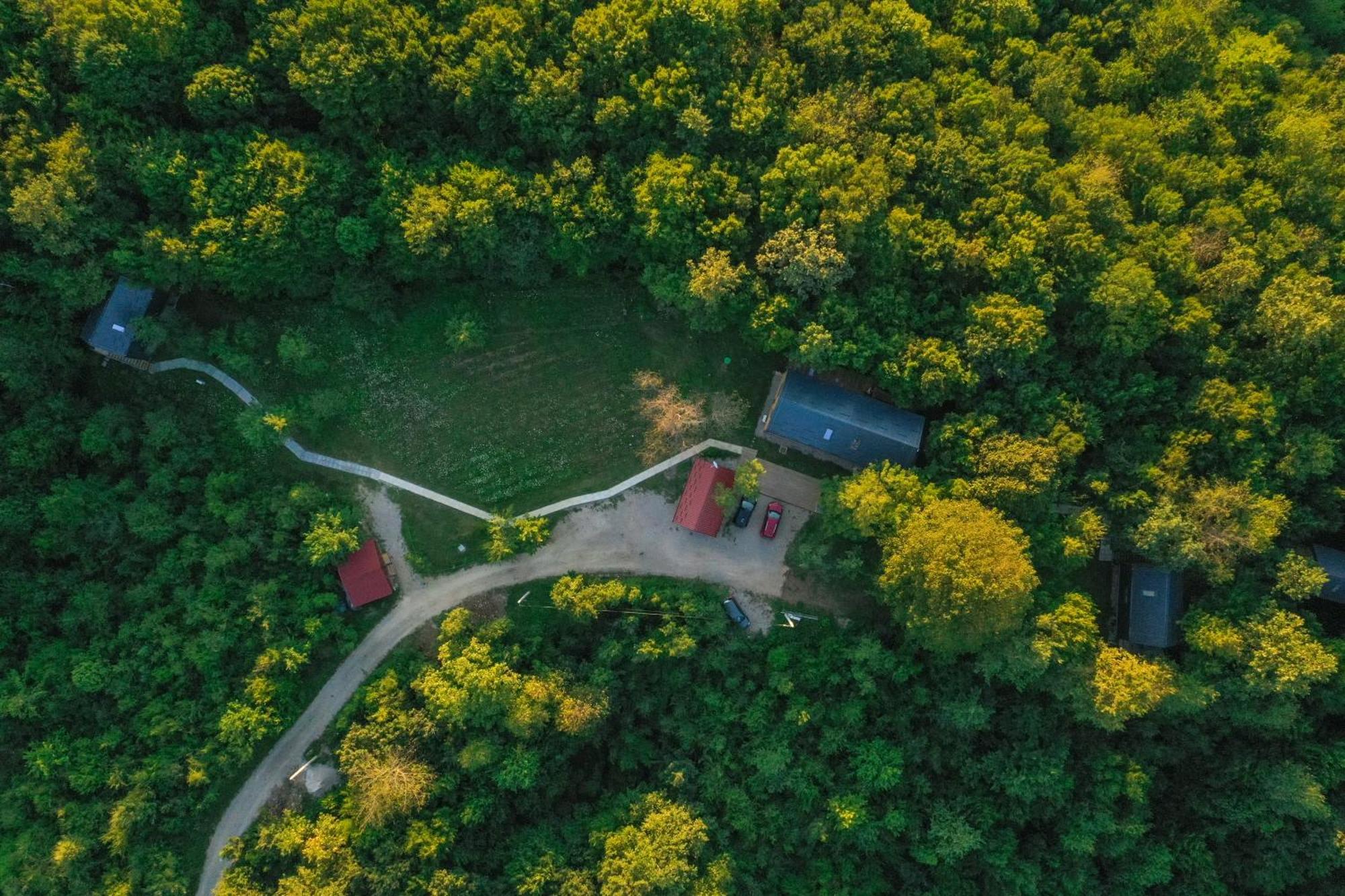 Apartament Tree Elements Treehouse Retreat Slunj Pokój zdjęcie